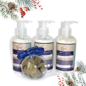 NOEL CHEVAL coffret cadeau pour cavalière