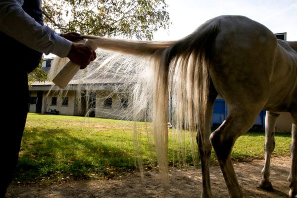 C&cie Démêlant naturel pour chevaux aux huiles essentielles bio sans additif sans effet gras