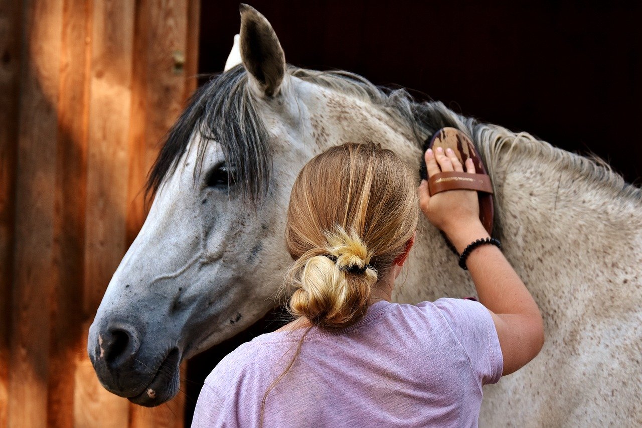 Quels soins chevaux à l'arrivée de l'automne... 1 brossage cheval