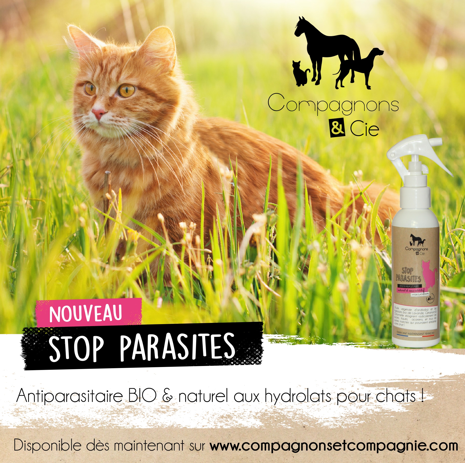 Compagnonscie_CHAT_stop-parasites_antiparasitaire-bio-naturel-pour-chats_soins-naturels-fabrication-francaise-pour-chat_sans-additif_-aux-hydrolats-bio soigner naturellement son chat 