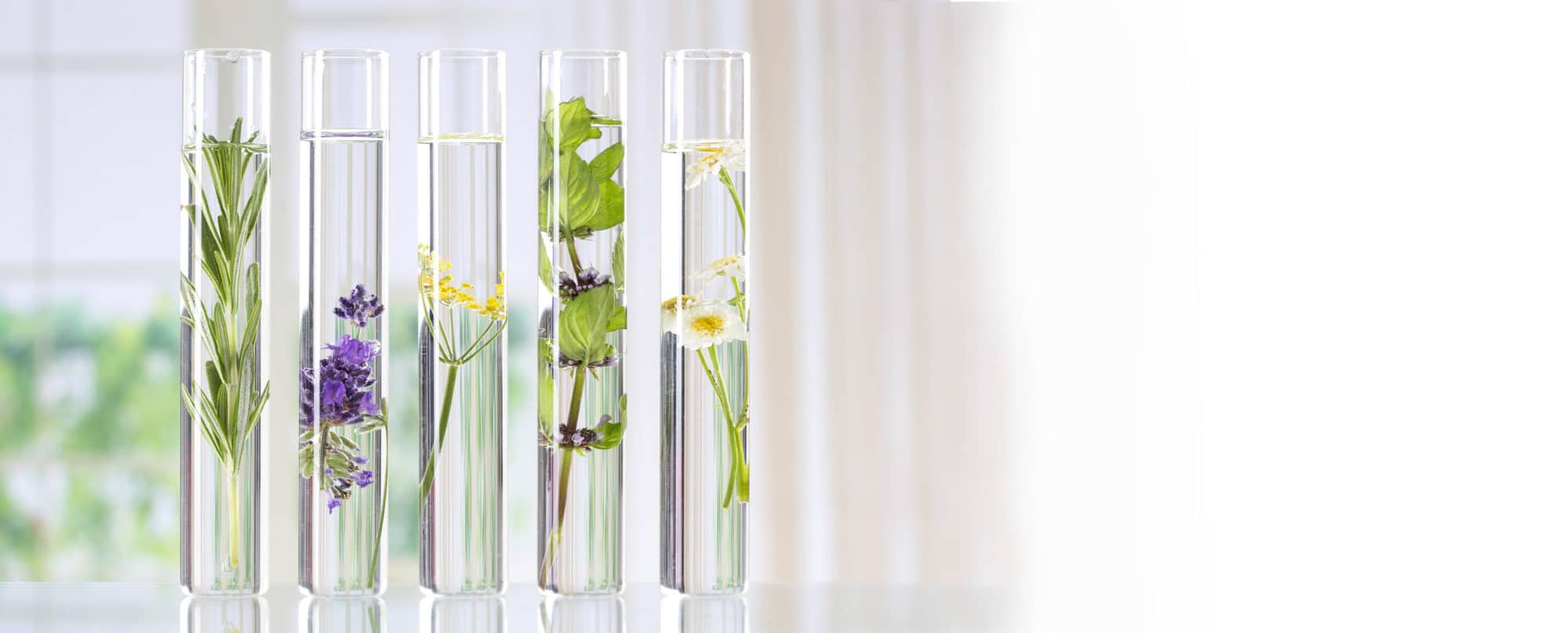 Tubes Essais Verre bandeau