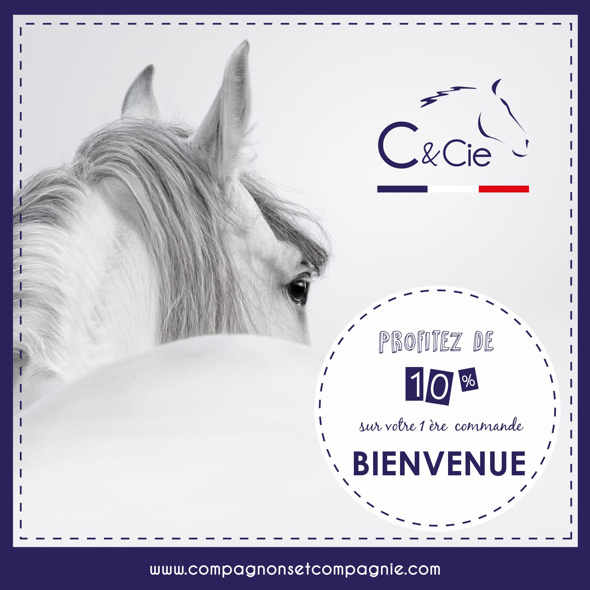 Soin naturel pour cheval - Aromatherapie Equine