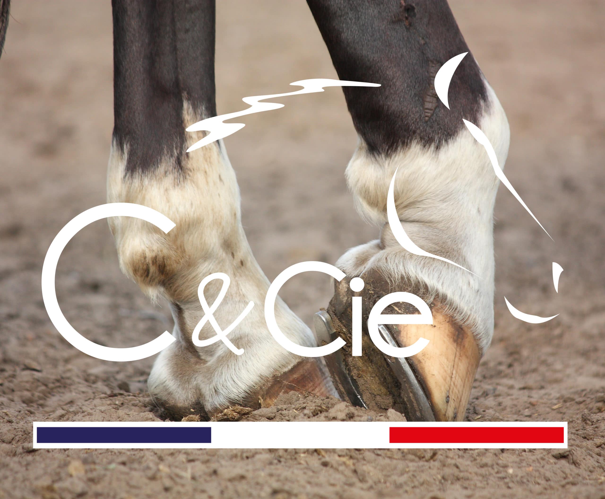 L’engorgement du cheval, comment soigner sa monture pour une récupération optimale ? 1 définition engorgement cheval produit engorgement