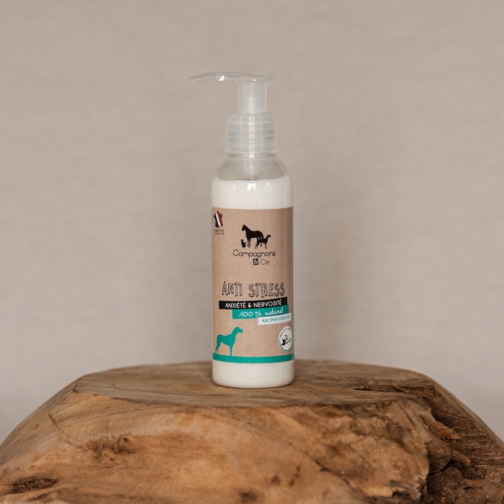 Anti-Stress Chien 4 Anti Stress Gel de massage relaxant copie