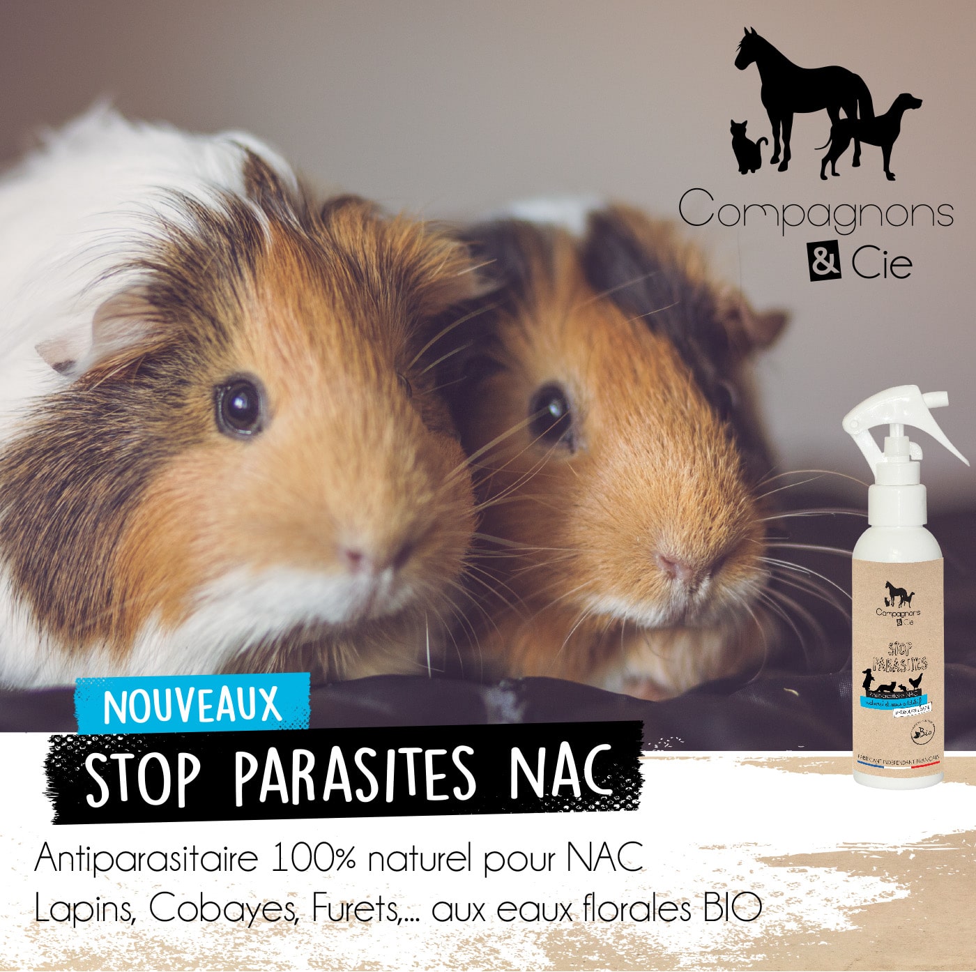 Stop Parasite Nouveaux Animaux de Compagnie