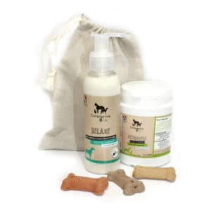 Kit souplesse articulaire pour chien souffrant d'arthrose