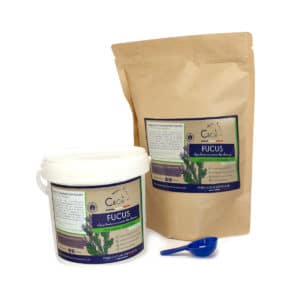 Fucus pour chevaux PACK ECOLO_ transit intestinal cheval_ plante pure_complément chevaux