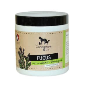 fucus chien_phytothérapie animale_ arthrose chien_arthrose chat_ digestion chien digestion chat