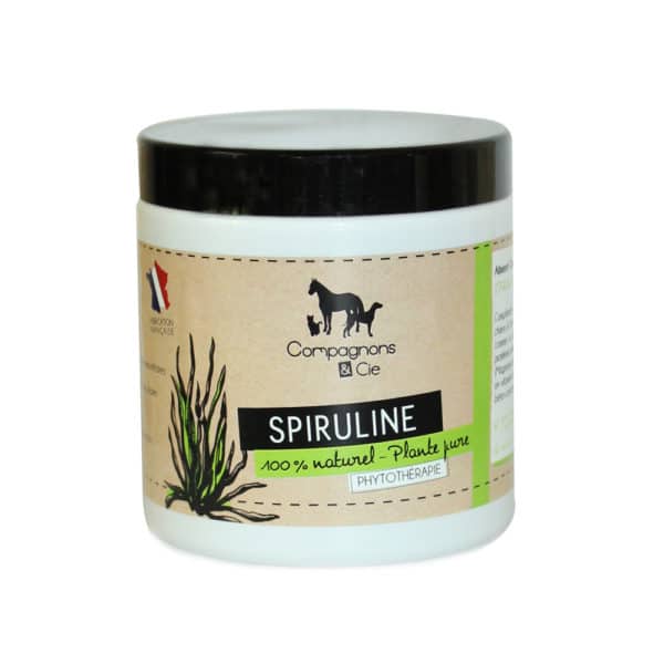 spiruline chien spiruline chat