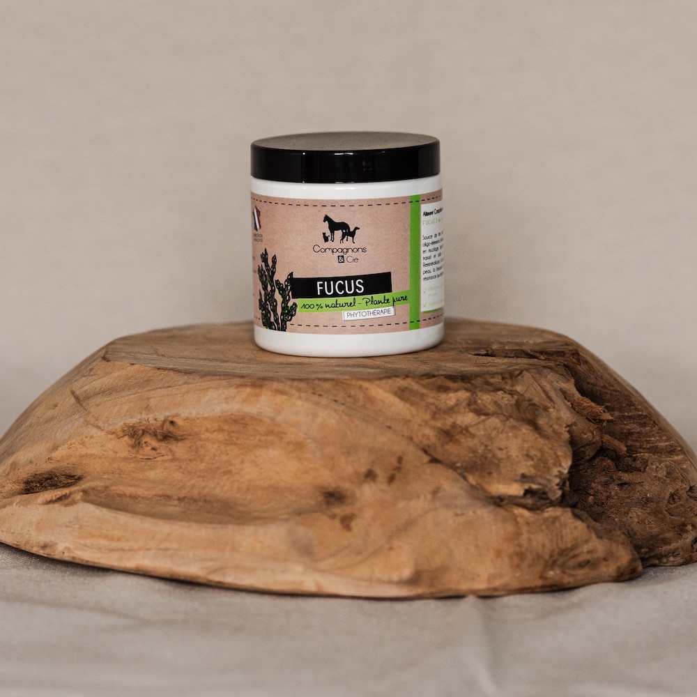 Fucus Poudre Algue brune au service des animaux copie