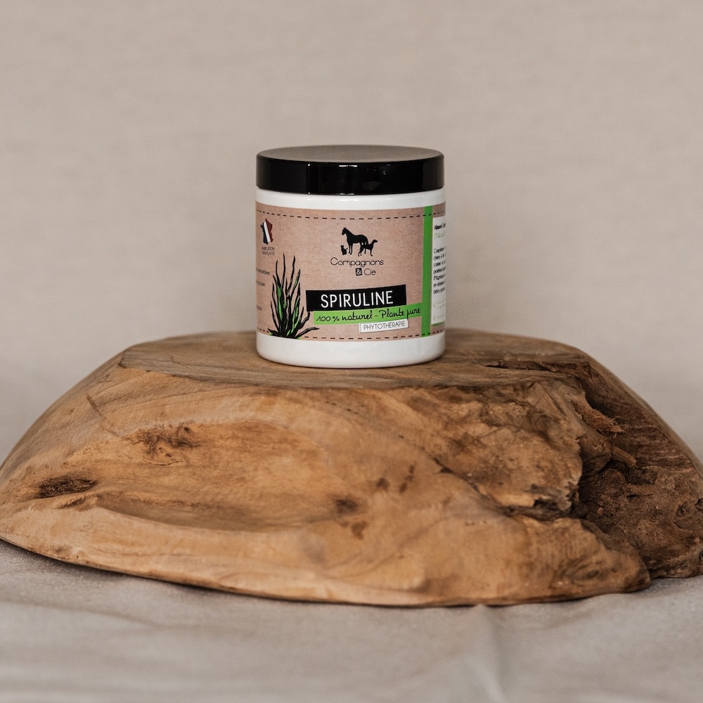 Spiruline poudre Lalgue aux supers pouvoirs copie