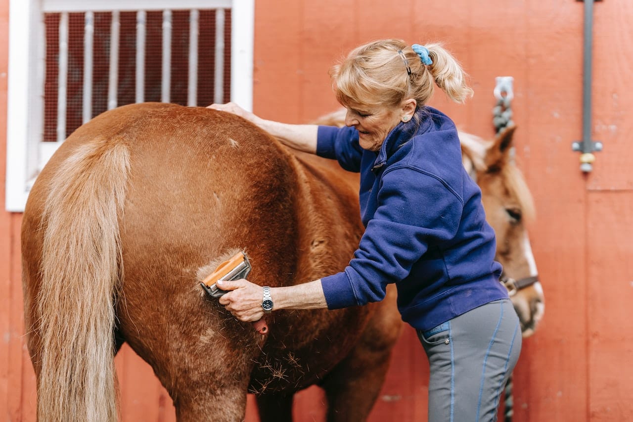 Qu'est-ce que la mue chez le cheval ?