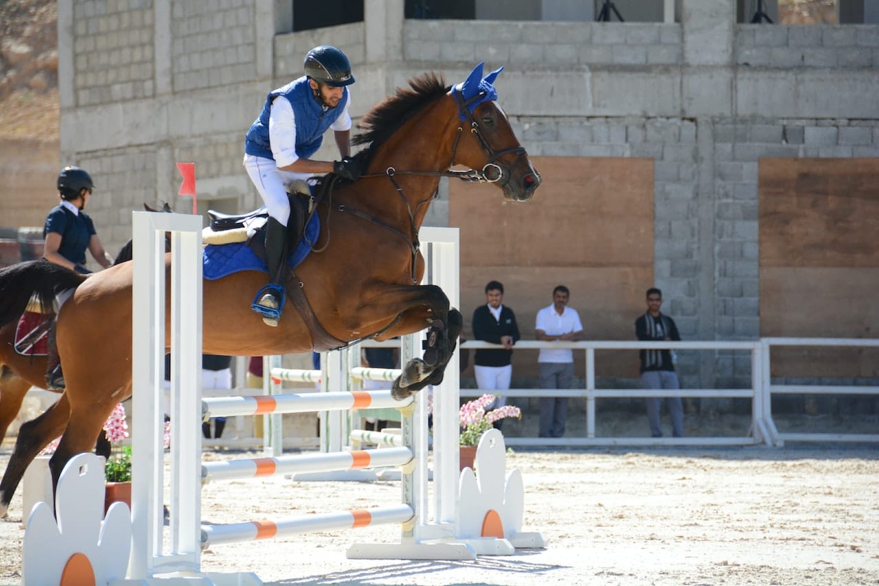 homme equitation sur cheval brun