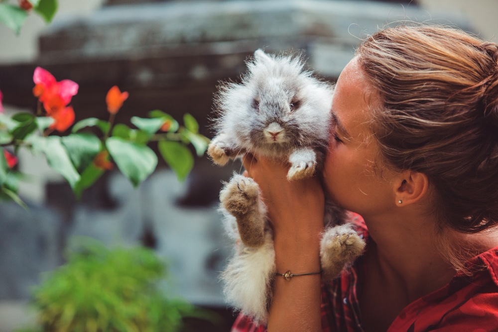 femme joue petit lapin