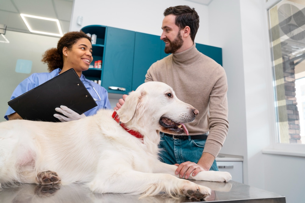 conseils veterinaire