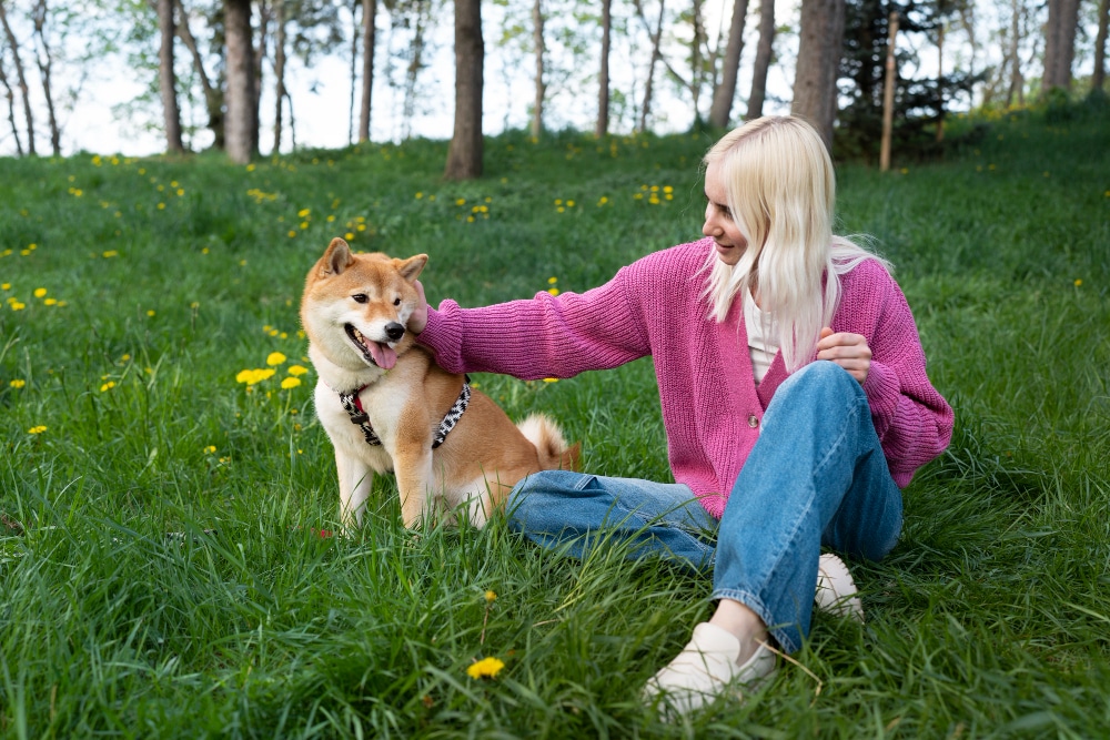 cute shiba inu pet with family