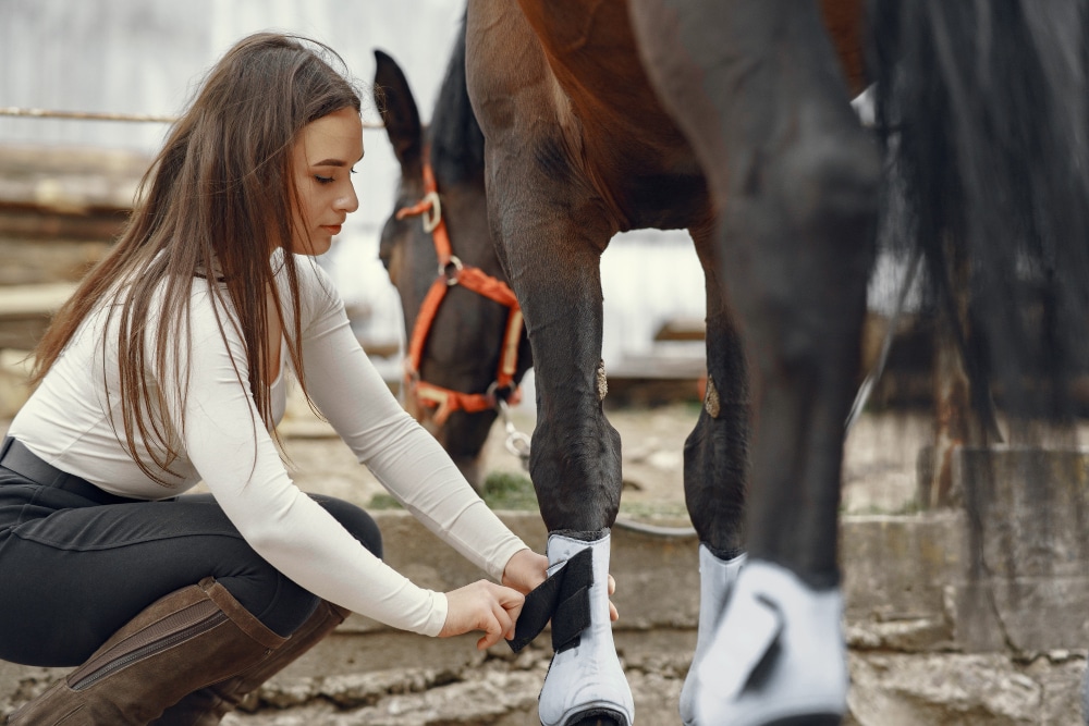 soigner pieds du cheval