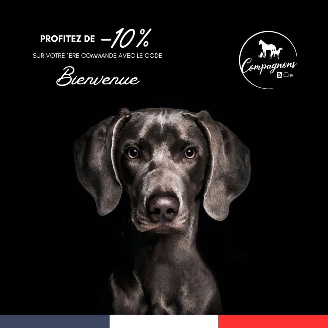 Soin naturel pour cheval - Aromatherapie Equine